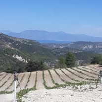 ΑΡΔΕΥΤΙΚΑ