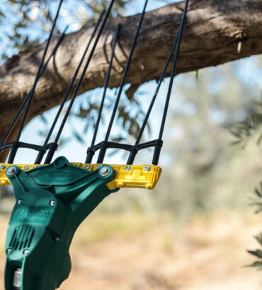 Ελαιοραβδιστικο zanon falcon